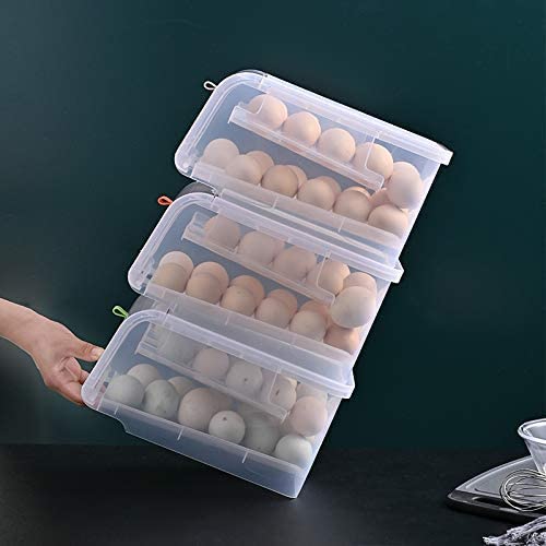 Bellveen Egg Storage Basket for Fridge Plastic New Eggs Storage Airtight Box 24 grid Pack of 1 - Image 3