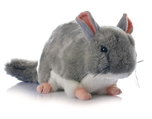 Cute rabbit MSNOR 12 inch Chinchilla Plush Toy Stuffed Animal Toy Plush Animal Doll (Gray) - Image 5