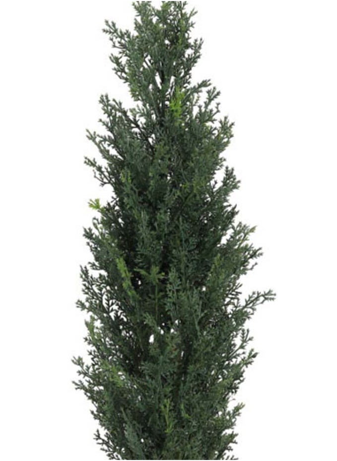 co arma Artificial Simulation Cypress Tree for Garden, Home and Balcony Decoration 65cm  - Image 3