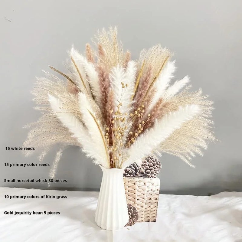 Y&D G43 Pampas Grass Bouquet, 80pcs Natural Dried Phragmites Flowers for Wedding Home Decor, Valentine's Day Christmas Dried Plants - Image 1