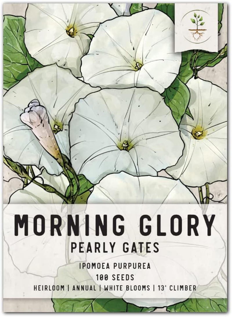 GGOOT , Pearly Gates Morning Glory Seeds for Planting (Ipomea tricolor) Single Package of 10 Seeds - Heirloom, Untreated & Open Pollinated  - Image 1
