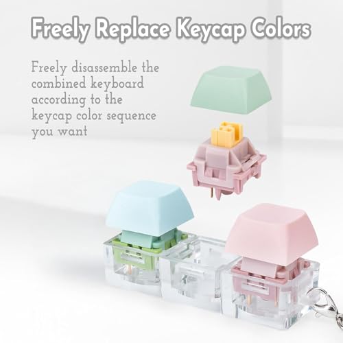 Cocoonkart 3-in-1 Colorful Keyboard Fidget Toys for Adults Mechanical Button Keyboard Clicker Keychain for Work Stress Relief (Random Colour) - Image 4