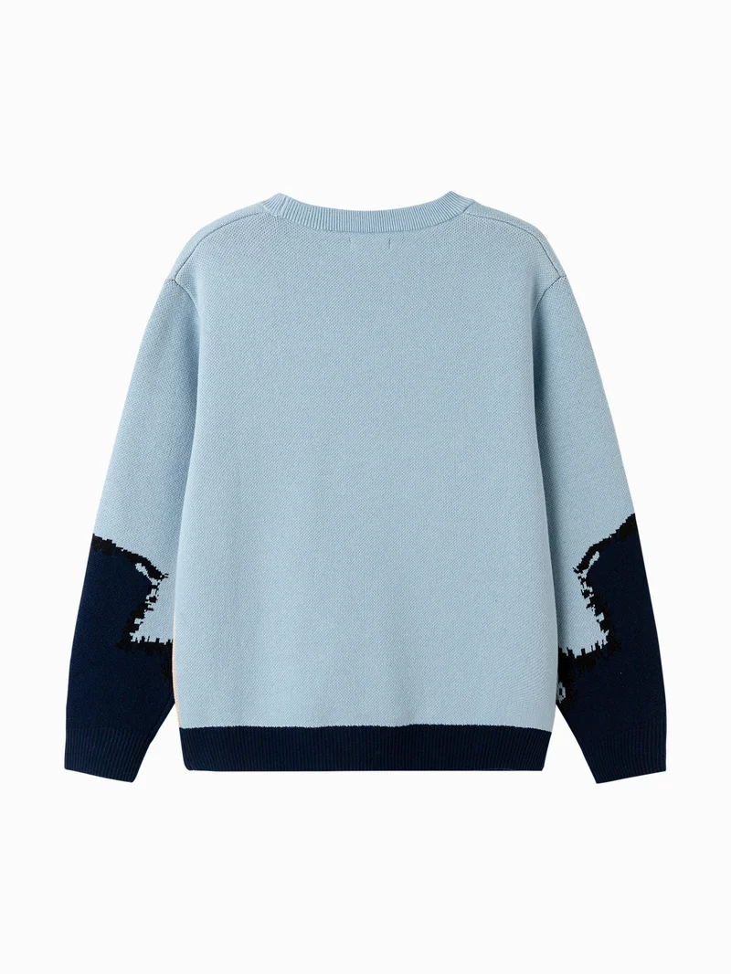 Balabala Kids Boy Round neck sweater