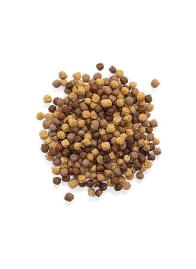ZuPreem Food for medium-sized birds with hazelnut mix and natural nuts flavour, 907 grams  - Image 2
