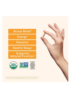 Organic India Organic India Ashwagandha Healthy Stress Response Herbal Supplement 90 Vegetarian Caps  - Image 3