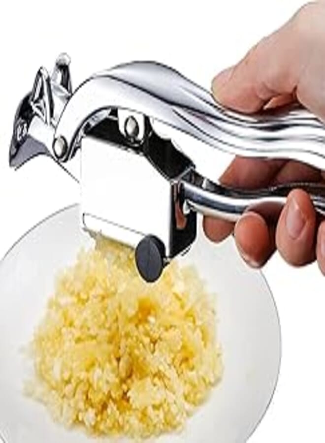 Garlic Piston Stainless Steel Garlic Piston, Kitchen Stainless Steel Garlic Mincrip, Squirrel and Hand Anti-Slip 