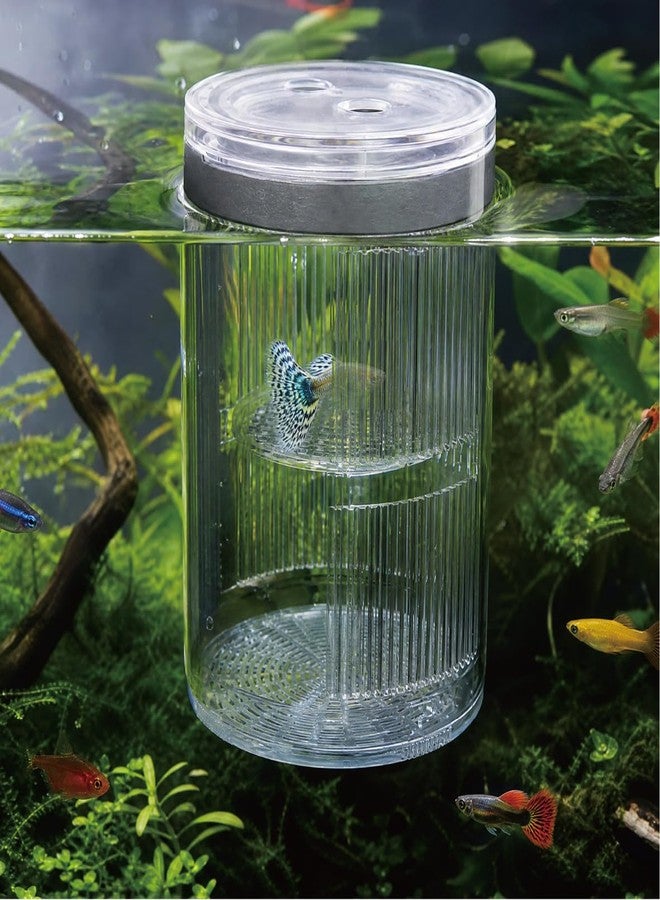 SIKGFPN Floating Breeder Box for Fish Tank, Acrylic Baby Aquarium Isolation Box Hatchery Incubator Tank with Suction Cups for Guppy, Betta, Clownfish, Baby Fish, Shrimp & Injured Fish (L) - Image 1