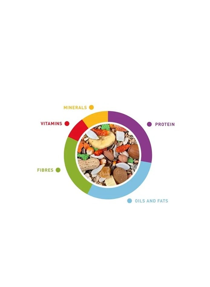 بادوفان وزن جراندميكس باباجالي - 2 كجم - Image 2