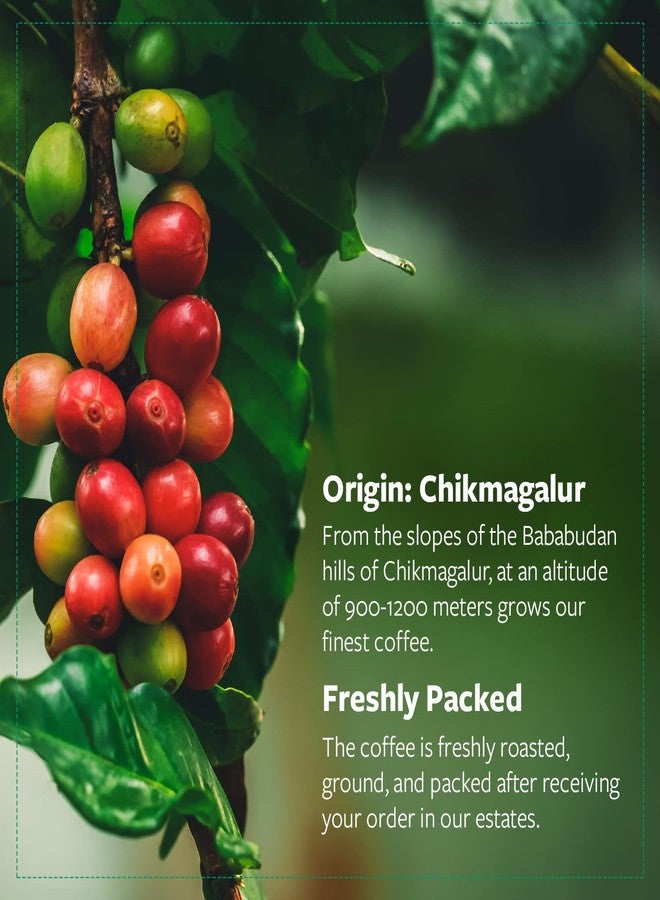 Cafe Coffee Day Comfort 65% Coffee 35% Chicory - 200Gm Each (Pack Of 4) | Medium To Dark Roast | South Indian Filter Coffee | Fresh From Chikmagalur Factory, Packet - Image 4