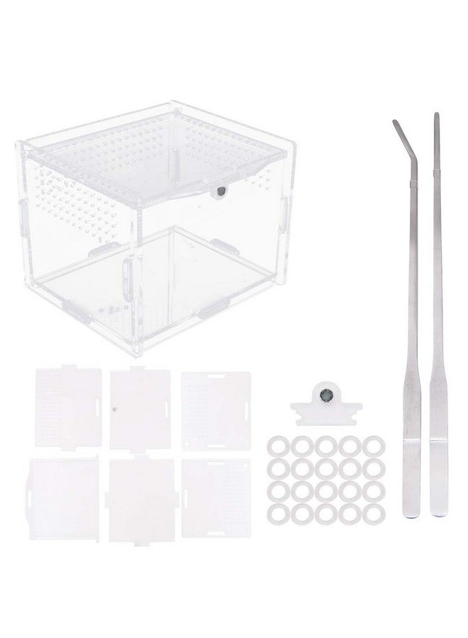 فلايان صندوق تغذية الزواحف الأكريليكي Flyan مقاس 3.9 × 3.15 × 2.75 بوصة، صندوق تربية زجاجي شفاف مع قطعتين من الملقط المستقيم والمنحنى للحيوانات الأليفة والحشرات والعناكب والصراصير والقواقع وسرطان البحر الناسك والسحلية - Image 1