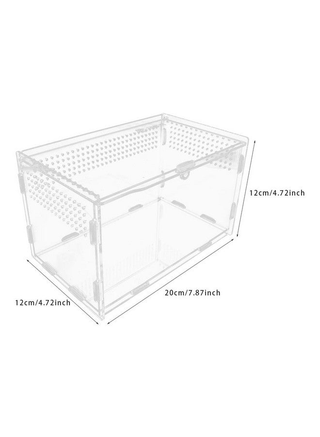 فلايان صندوق تغذية الزواحف الأكريليكي Flyan مقاس 3.9 × 3.15 × 2.75 بوصة، صندوق تربية زجاجي شفاف مع قطعتين من الملقط المستقيم والمنحنى للحيوانات الأليفة والحشرات والعناكب والصراصير والقواقع وسرطان البحر الناسك والسحلية - Image 3