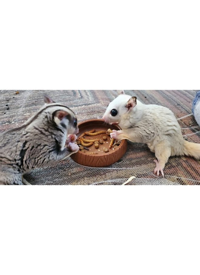 EXOTIC NUTRITION Exotic Nutrition Dried Insect 3 Pack - Crickets, Grasshoppers, Mealworms - for Sugar Gliders, Hedgehogs, Wild Birds, Chickens, Turtles, Tropical Fish, Reptiles  - Image 5