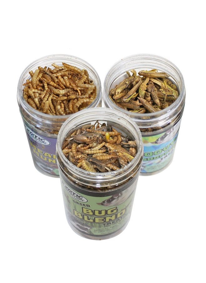 EXOTIC NUTRITION Exotic Nutrition Dried Insect 3 Pack - Crickets, Grasshoppers, Mealworms - for Sugar Gliders, Hedgehogs, Wild Birds, Chickens, Turtles, Tropical Fish, Reptiles  - Image 2