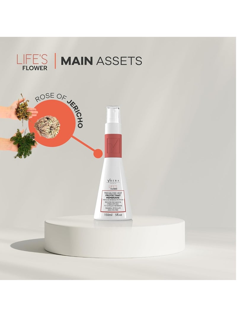 Ybera Paris Life’s Flower Membrane | Hair Heat Protectant | Self-Renewing Hydration Therapy | Restores the Structure of the Strand | Balance pH | Protects Against Color Oxidation | 5 Oz.  - Image 3
