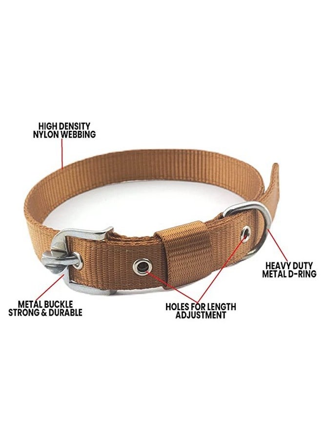 Generic Non-Toxic Heavy Duty Combo Pack Of Stainless Steel 5 Feet Long Leash Chain With 12-16 Inch Adjustable Nylon Collar Belt Set Ideal For Small And Medium Dogs (Golden  - Image 2