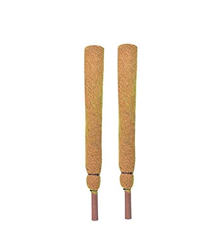 COIR GARDEN Coco Pole 2 FT(60 CM) - 2 Pieces -Moss & Coir Stick for Money Plant Support, Indoor Plants, House Plants & Plant Creepers - Image 1