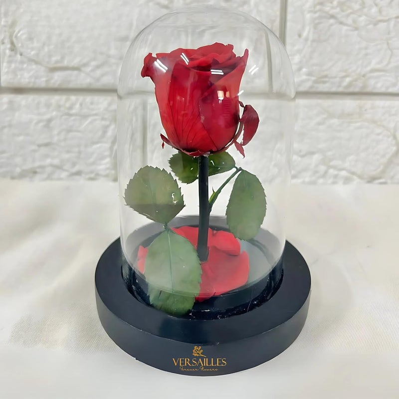 Forever Love Preserved Red Rose in Glass Dome, Elegant Romantic Gift, Symbol of Love for Special Occasions