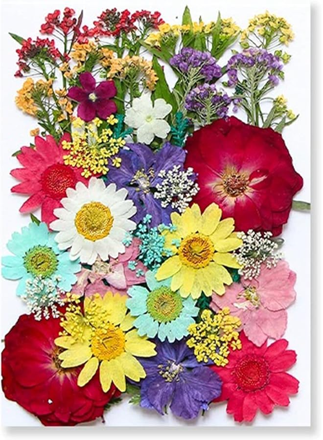 The Bros 40 Pcs Dried Pressed Flowers for Resin DIY Art Crafts, Natural Dry Floral for Scrapbooking DIY Art Crafts, Epoxy Resin Jewelry Molds, Candle, Soap Making, Nails Décor (Summer Flowers) - Image 1
