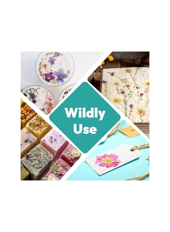 The Bros 40 Pcs Dried Pressed Flowers for Resin DIY Art Crafts, Natural Dry Floral for Scrapbooking DIY Art Crafts, Epoxy Resin Jewelry Molds, Candle, Soap Making, Nails Décor (Summer Flowers) - Image 4