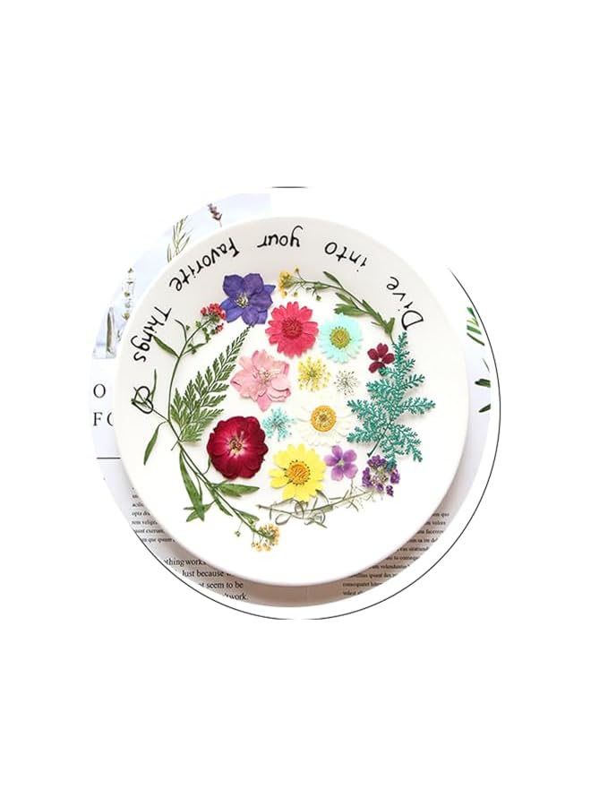 The Bros 40 Pcs Dried Pressed Flowers for Resin DIY Art Crafts, Natural Dry Floral for Scrapbooking DIY Art Crafts, Epoxy Resin Jewelry Molds, Candle, Soap Making, Nails Décor (Summer Flowers) - Image 5