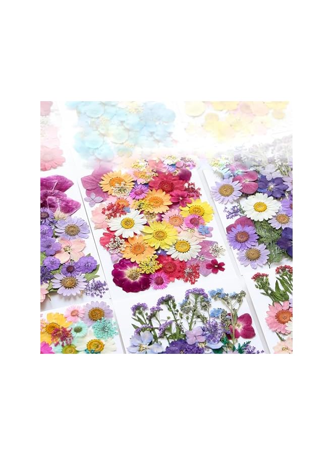 The Bros 40 Pcs Dried Pressed Flowers for Resin DIY Art Crafts, Natural Dry Floral for Scrapbooking DIY Art Crafts, Epoxy Resin Jewelry Molds, Candle, Soap Making, Nails Décor (Summer Flowers) - Image 2