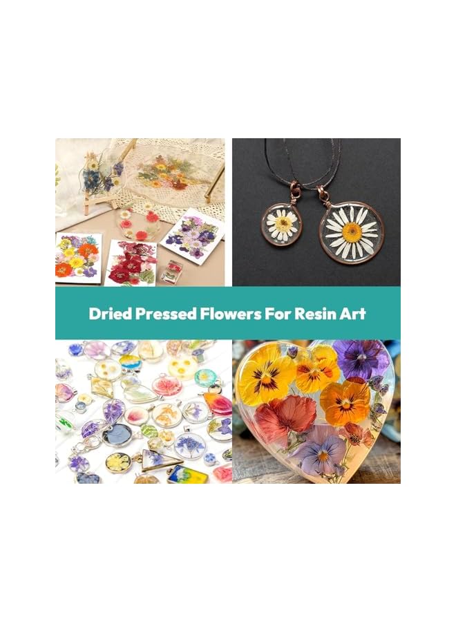 The Bros 40 Pcs Dried Pressed Flowers for Resin DIY Art Crafts, Natural Dry Floral for Scrapbooking DIY Art Crafts, Epoxy Resin Jewelry Molds, Candle, Soap Making, Nails Décor (Summer Flowers) - Image 3