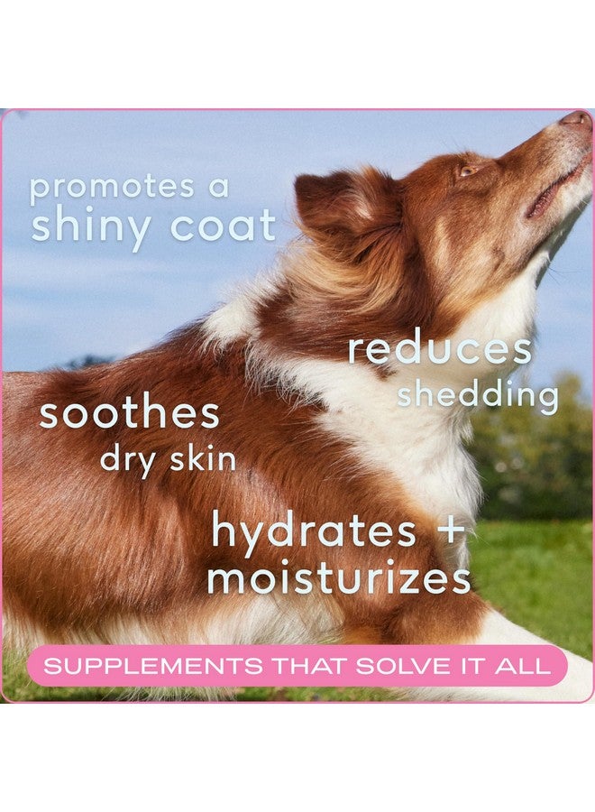 Native Pet Omega Skin and Coat Chews for Dogs - Dog Skin and Coat Supplement for Healthy, Shiny Fur, Reduce Shedding and Dry Spots - Made with Omega 3 Fish Oil and Wild-Caught Salmon Oil - 60 Chews - Image 1