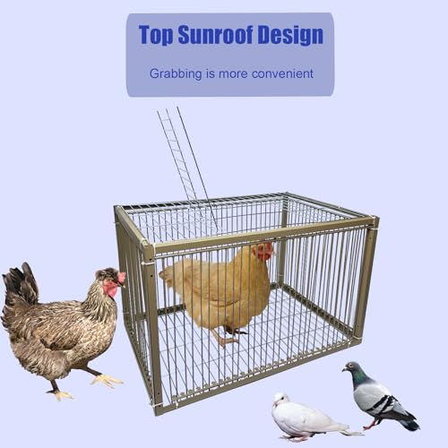 WEIYOONS 15" H Chicken Pigeon Trap Cage Birdcage Small Animal Trap Cage with Escape-Proof Design for Bird Turkey Duck Dove (23.6" L x 15.7" W x 15.7" H) - Image 5