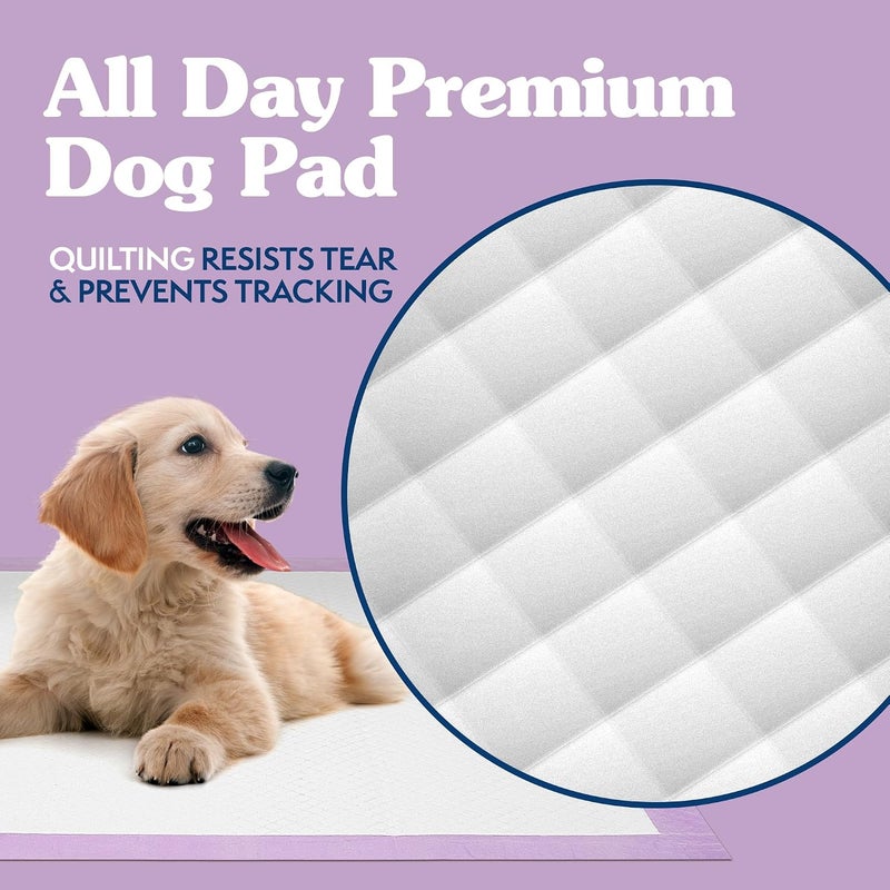 Simple Solution Dog Training Pads Lavender - 100 - Image 4