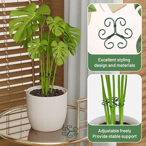 Yeomant 4PCS Green Iron Monstera Support, Uniquely Designed Plant Support Stakes for Indoor Plants, Stable Plant Stakes and Supports, Turtle Shell Bamboo Clamp Set for Thriving Growth - Image 4