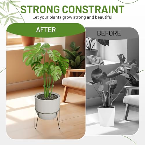 Yeomant 4PCS Green Iron Monstera Support, Uniquely Designed Plant Support Stakes for Indoor Plants, Stable Plant Stakes and Supports, Turtle Shell Bamboo Clamp Set for Thriving Growth - Image 3