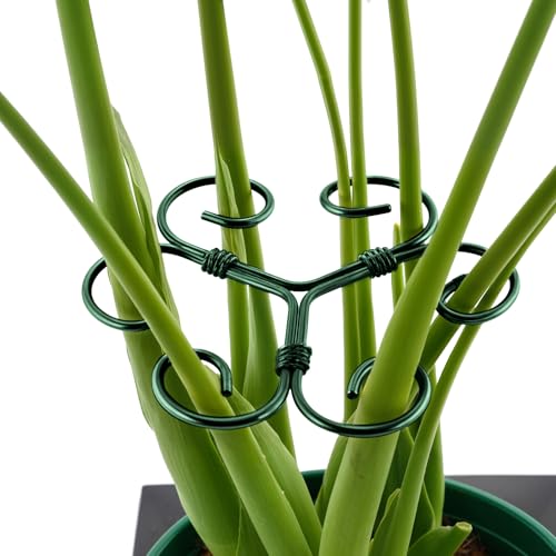 Yeomant 4PCS Green Iron Monstera Support, Uniquely Designed Plant Support Stakes for Indoor Plants, Stable Plant Stakes and Supports, Turtle Shell Bamboo Clamp Set for Thriving Growth - Image 1