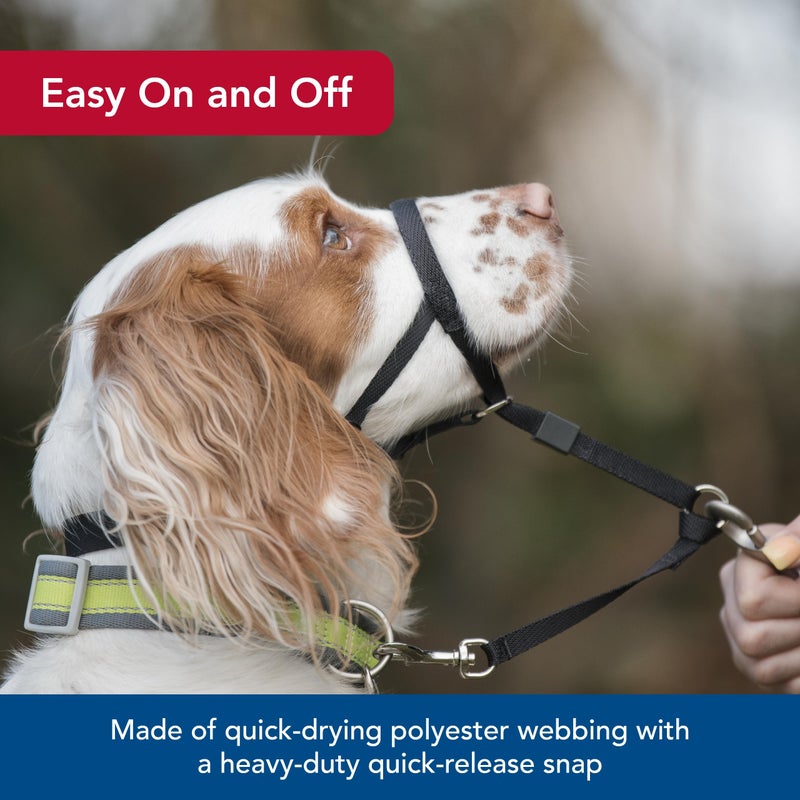 Coastal Pet Walk 'n Train Dog Head Halter - Head Colllar Dog Leader - No-Pull Pet Harness - Quick-Drying Polyester - Black - XLarge - Image 5