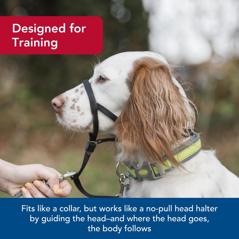 Coastal Pet Walk 'n Train Dog Head Halter - Head Colllar Dog Leader - No-Pull Pet Harness - Quick-Drying Polyester - Black - XLarge - Image 4