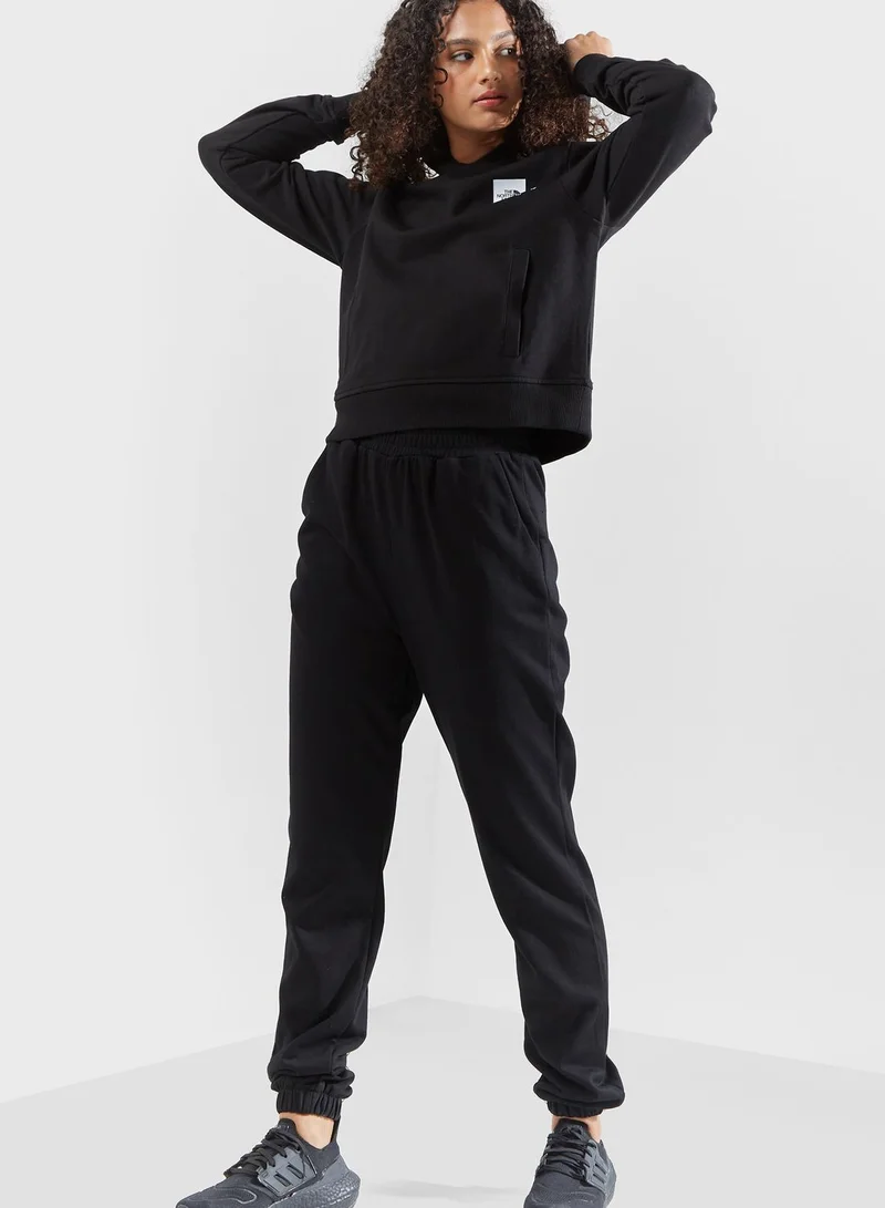 THE NORTH FACE Coordinates Cropped Hoodie