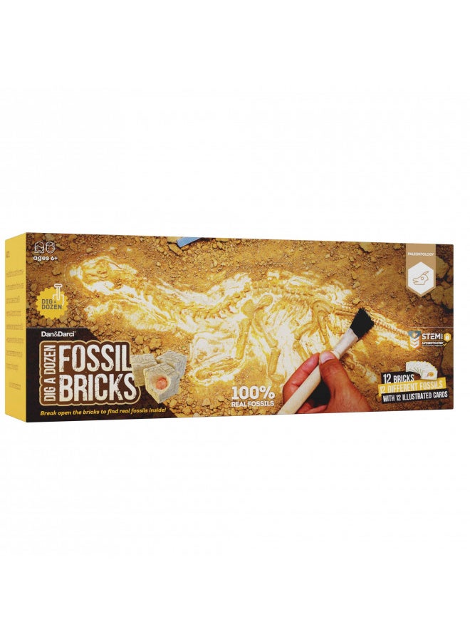 Dig a Dozen Fossil Bricks - Break Open 12 Bricks and Discover 12 Unique Real Fossils - Archaeology Science STEM Gift - pzsku/Z0D9C181EA175F91802D9Z/45/_/1732281823/8b886ce5-a5b6-4766-9bfb-3d32fd23de4b