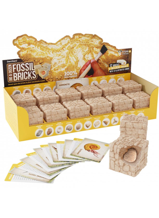 Dig a Dozen Fossil Bricks - Break Open 12 Bricks and Discover 12 Unique Real Fossils - Archaeology Science STEM Gift - pzsku/Z0D9C181EA175F91802D9Z/45/_/1732281835/1e40df68-fa04-4ea5-8dc0-f9d180129d82