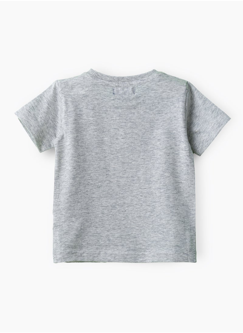 JAM Boys' Grey Camping Tortoise Graphic Cotton T-Shirt  - Image 2
