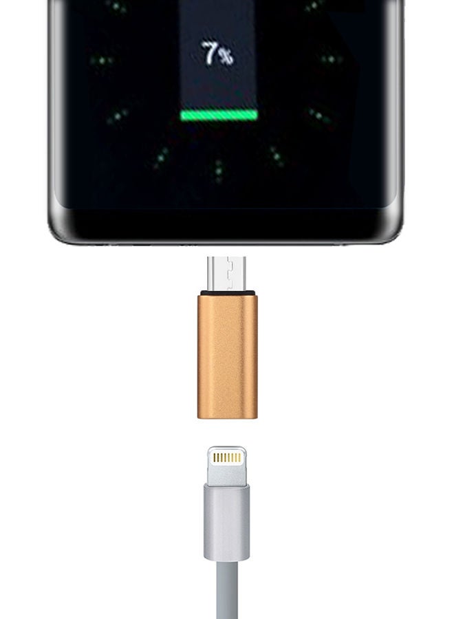 NIBEMINENT 8-Pin Female To Type-C Male Adapter Gold - Image 3