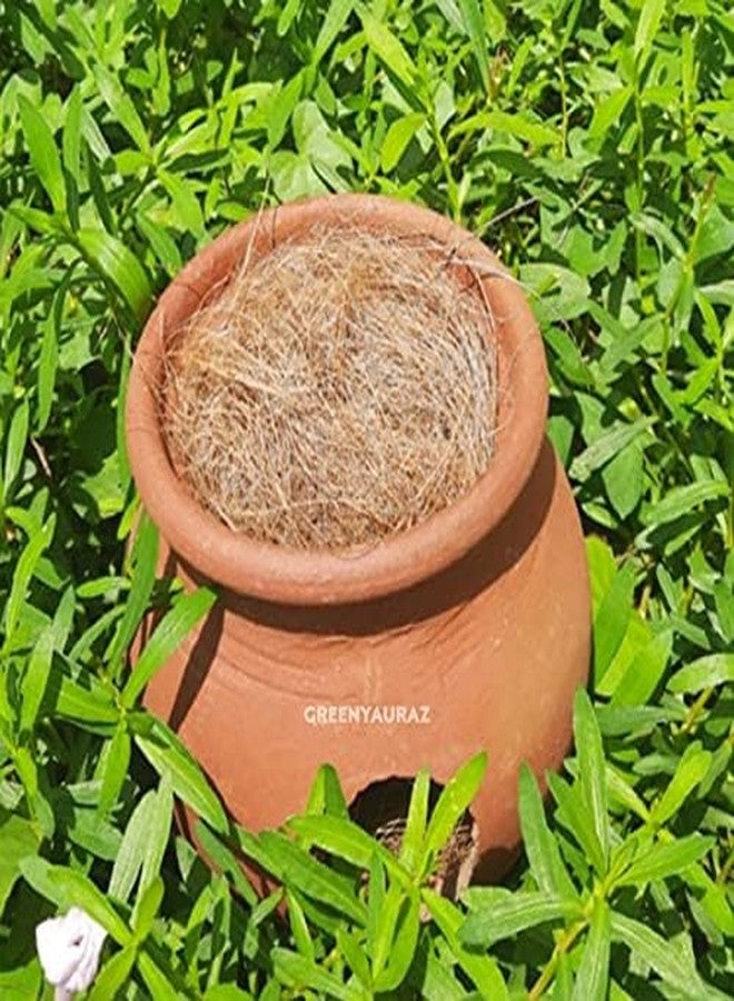 Nesting Natural Coco Fiber for Small Birds, Finches & Parrots (200 g) - Image 2