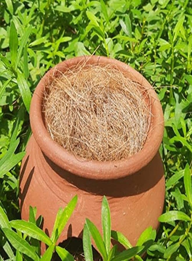 Nesting Natural Coco Fiber for Small Birds, Finches & Parrots (200 g) - Image 3