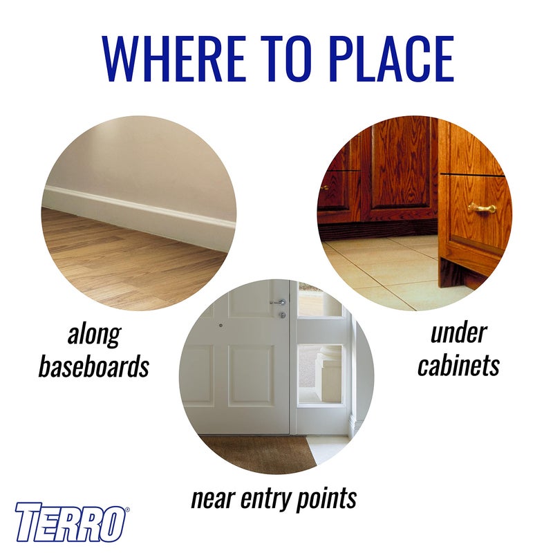 TERRO T200-3SR Liquid Ant Killer – 3 Pack - Image 3