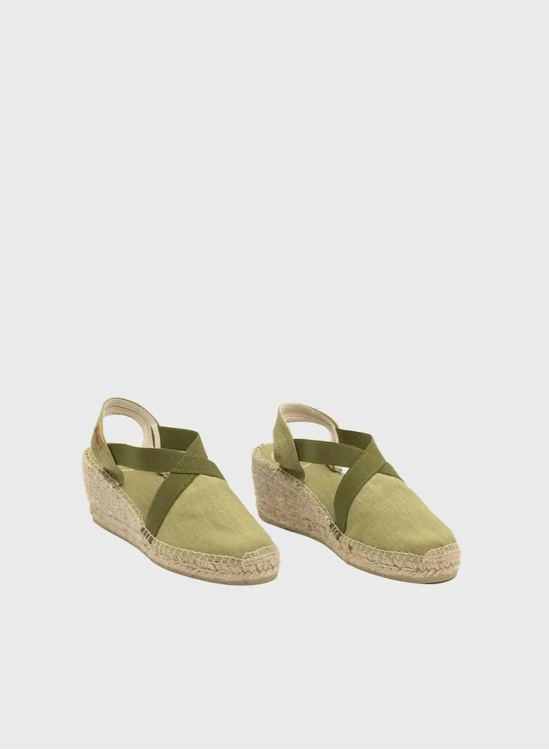 Toni Pons Ter / Olive