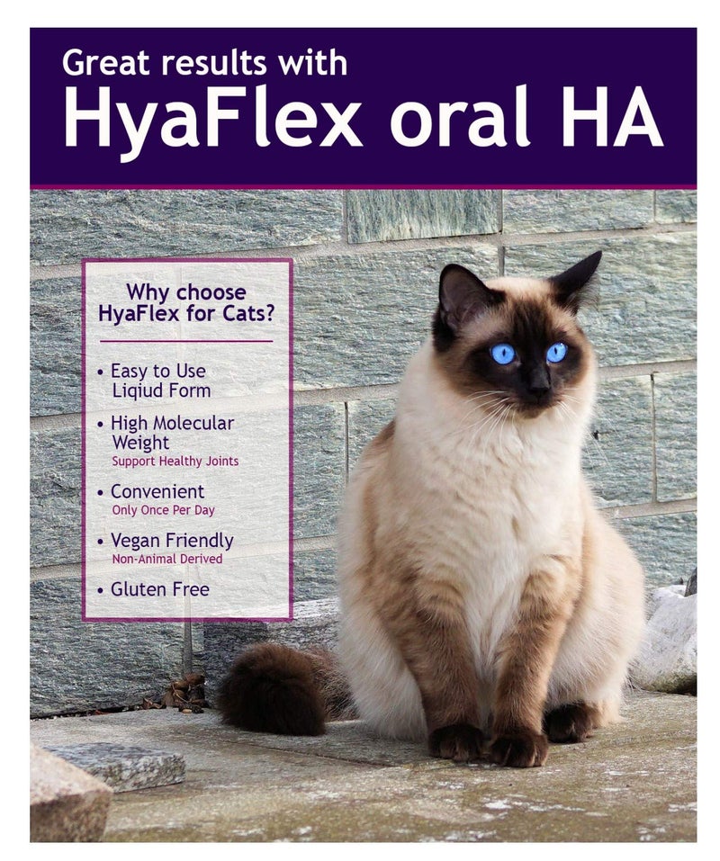 Hyalogic HyaFlex Hyaluronic Acid for Cats â€“ Premium Cat Products for Joint, Skin, Eye, and Coat Maintenance â€“ Natural Cat Joint Supplement (30ml) - Image 3