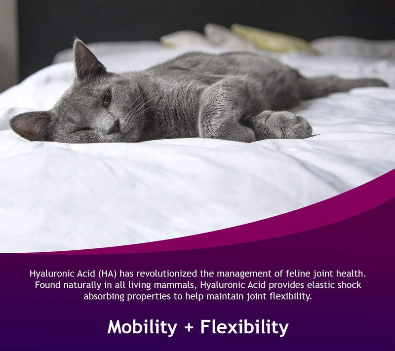 Hyalogic HyaFlex Hyaluronic Acid for Cats â€“ Premium Cat Products for Joint, Skin, Eye, and Coat Maintenance â€“ Natural Cat Joint Supplement (30ml) - Image 4