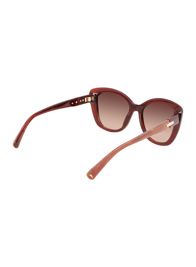 Longchamp نظارة شمسية بإطار الفراشة للحماية من الأشعة فوق البنفسجية للنساء - LO714S-604-5419 - مقاس العدسة: 54 ملم  - Image 5