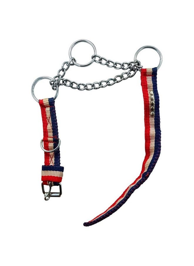 DIY Crafts DIY DIYC-13726 Crafts Nylon Belt Dog Collar Pet Belt Dno# 1 (Pack of 4 Pcs, Multi)  - Image 3