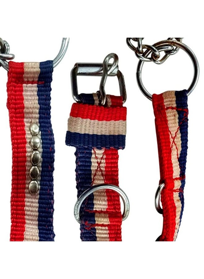 DIY Crafts DIY DIYC-13726 Crafts Nylon Belt Dog Collar Pet Belt Dno# 1 (Pack of 4 Pcs, Multi)  - Image 4
