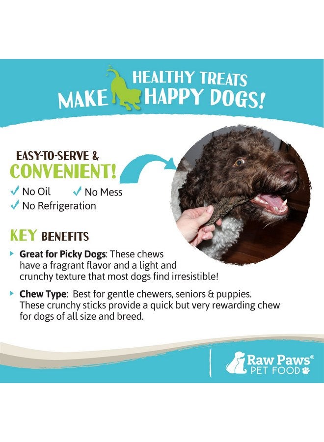 روو باوز أعواد كرشة لحم بقري خضراء من Raw Paws للكلاب - 6 بوصات، عبوة من 5 قطع - معبأة في الولايات المتحدة الأمريكية - مكافآت كرشة مجففة للكلاب من أبقار حرة بدون إضافة مضادات حيوية أو هرمونات - كرشة لحم بقري خضراء مجففة للكلاب - Image 5