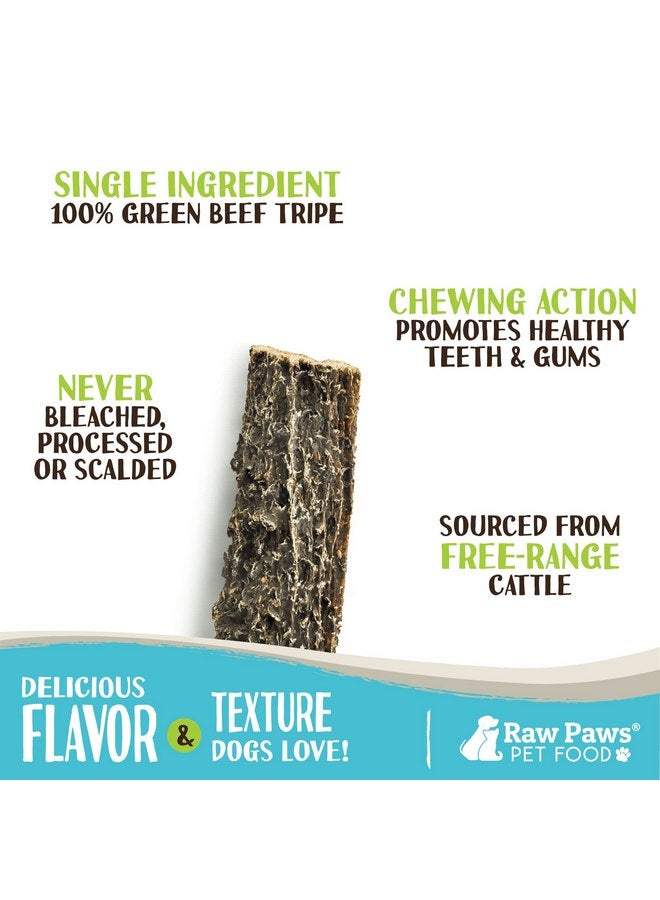 روو باوز أعواد كرشة لحم بقري خضراء من Raw Paws للكلاب - 6 بوصات، عبوة من 5 قطع - معبأة في الولايات المتحدة الأمريكية - مكافآت كرشة مجففة للكلاب من أبقار حرة بدون إضافة مضادات حيوية أو هرمونات - كرشة لحم بقري خضراء مجففة للكلاب - Image 2